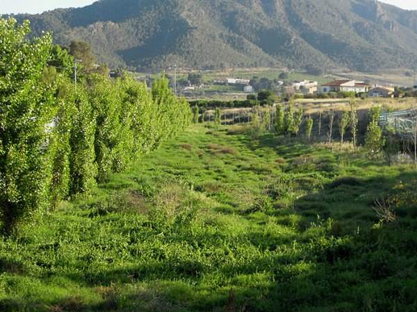 ruta turistica por el parque regional del valle desde tu propiedad la manga club